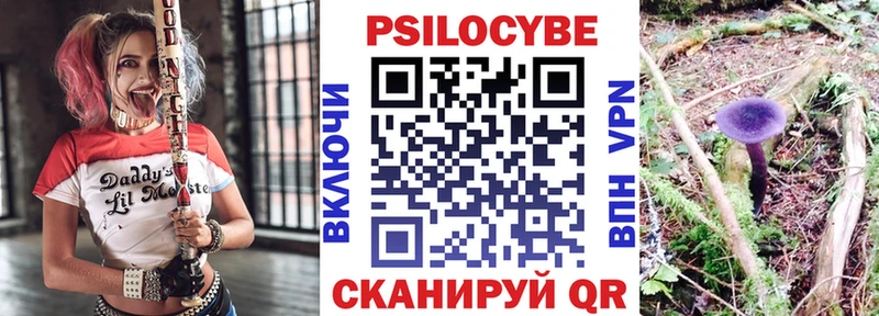 OMG онион сколько стоит Сельцо Псилоцибиновые грибы Magic Shrooms