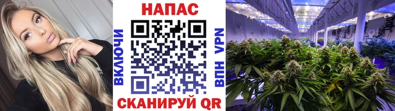 Шишки марихуана гибрид  где купить   Сельцо 